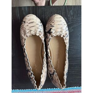 Gibson + Latimer Snakeskin Print Scalloped Ballet Flats Tan Black Size 7.5M